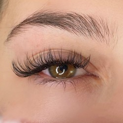 Mixed Silk Individual Eyelash Store Lashes
