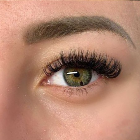 Image réel de pose easy fan butterfly de chez Storelashes boites tailles uniques