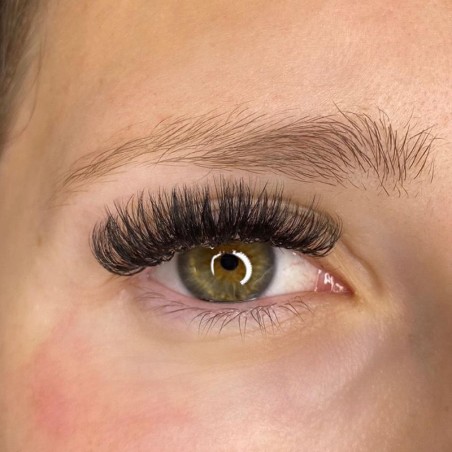 Kit Russian Volume Seide...