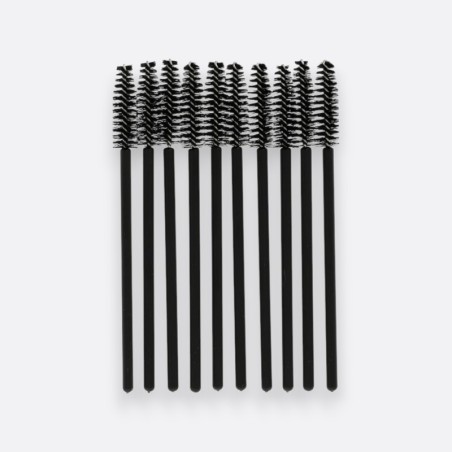 Goupillons brosse noirs...