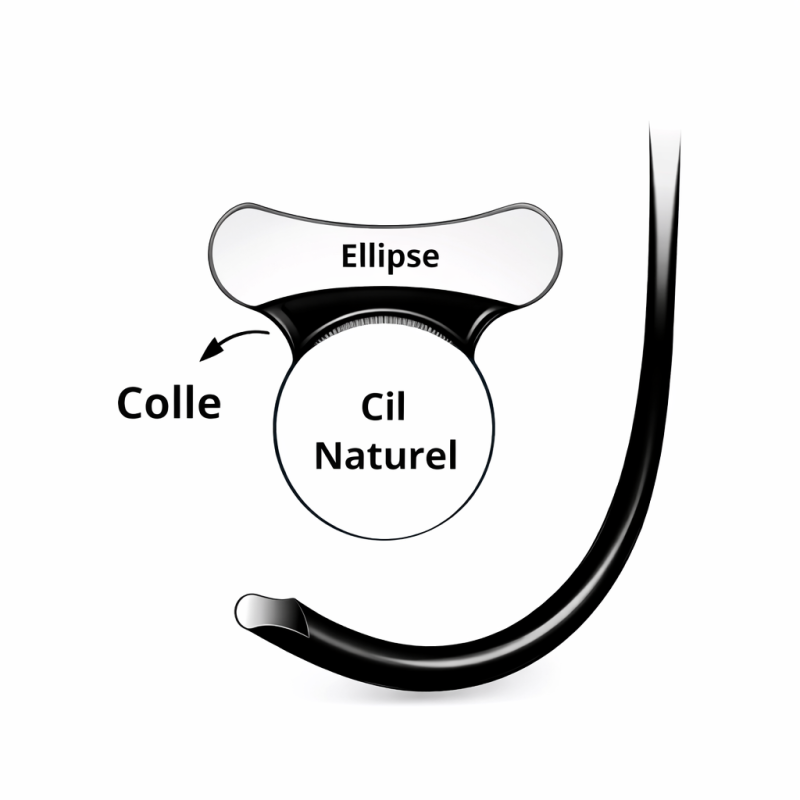 Schéma explicatif des extensions de cils Ellipse Storelashes
