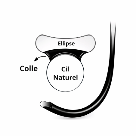schéma cil a cil ellipse en soie forme plate meilleure adhésion sur cil naturel Storelashes