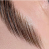 Poils de sourcils réel de brow lift step 1 et 2 de chez Storelashes